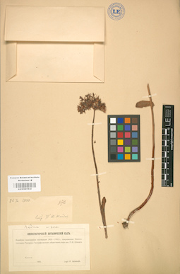 LE 01001632