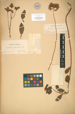 LE 01001635