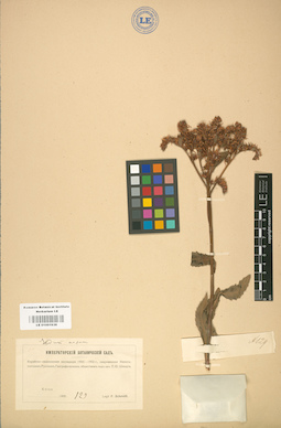 LE 01001636