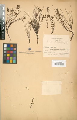 LE 01001640