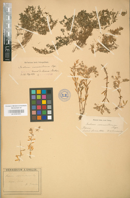 LE 01001653