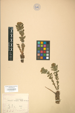 LE 01001673