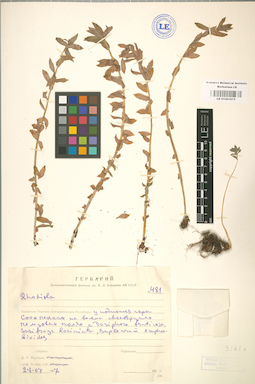 LE 01001675