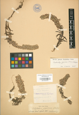 LE 01001679