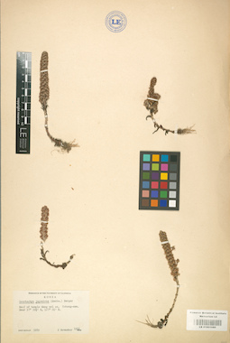 LE 01001680
