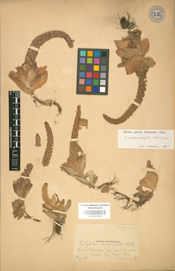 LE 01001682