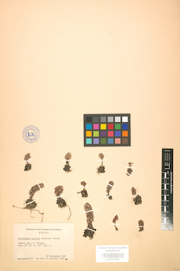 LE 01001684