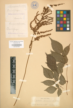 LE 01001689