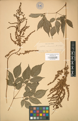 LE 01001690