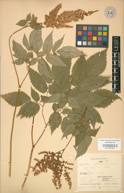 LE 01001691