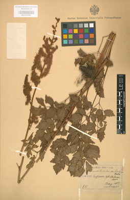 LE 01001692