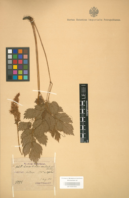 LE 01001693
