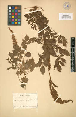 LE 01001694