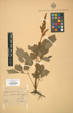 LE 01001695
