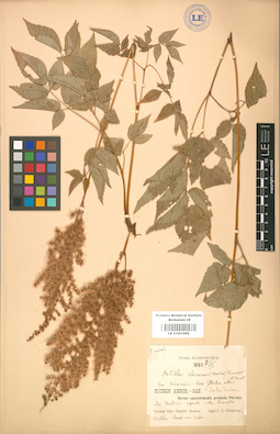 LE 01001696