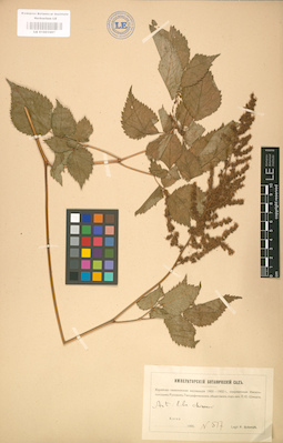 LE 01001697