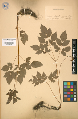 LE 01001700
