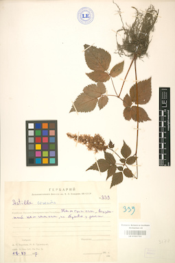 LE 01001701