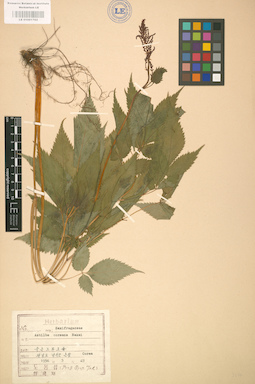 LE 01001702