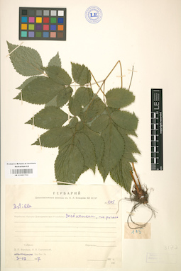 LE 01001710