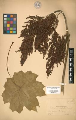 LE 01001712