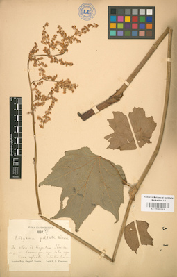 LE 01001713