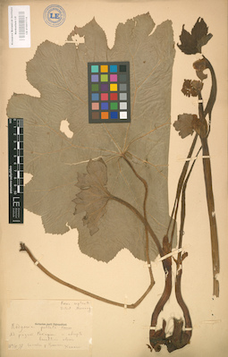 LE 01001714