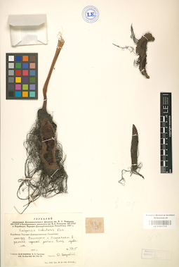 LE 01001715