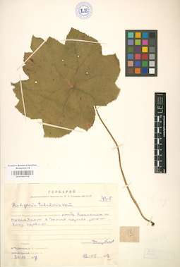 LE 01001716
