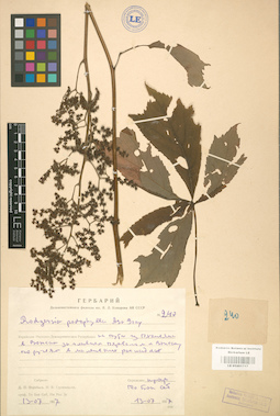 LE 01001717