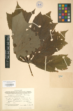 LE 01001718