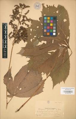 LE 01001719