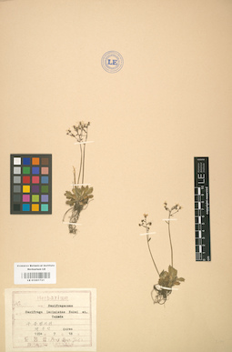 LE 01001721