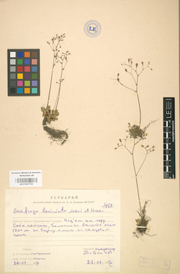 LE 01001722
