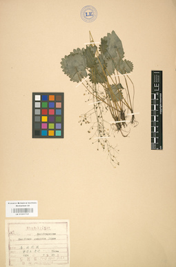 LE 01001723