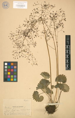 LE 01001724