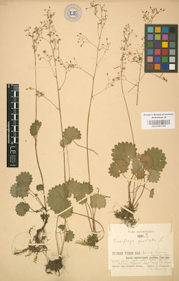 LE 01001725