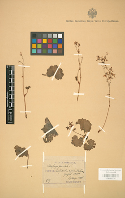LE 01001726