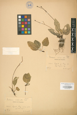 LE 01001727
