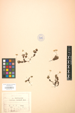 LE 01001728