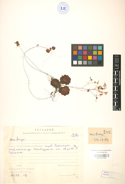 LE 01001729