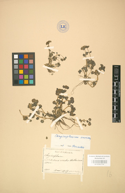 LE 01001734
