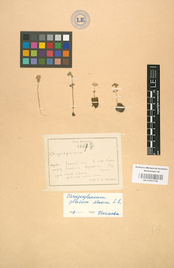 LE 01001736
