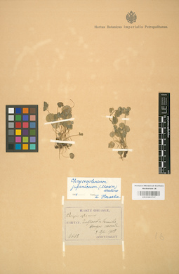 LE 01001737