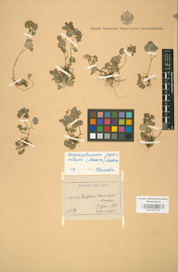 LE 01001738