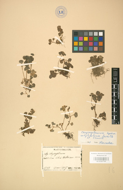 LE 01001740