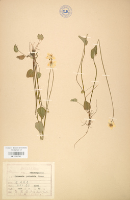 LE 01001741