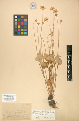 LE 01001743
