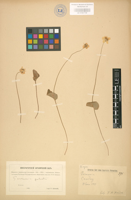 LE 01001746