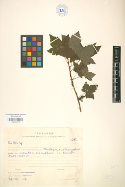 LE 01001749